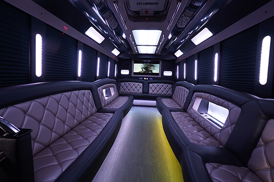 28 passenger party bus interior